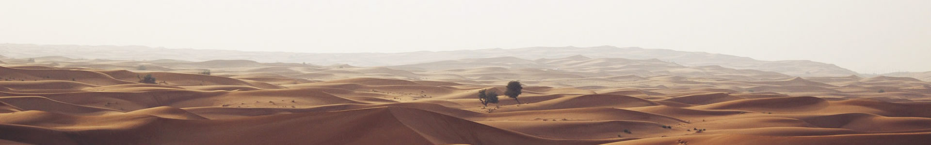 ϲлͶʵҵ޹˾